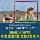 영어로만나는생태이야기 | 9월 6일 &amp; 9월 7일, 매향 생태여행 · 농섬여행 후기 _ &#34;매향리, 평화와 희망의 문을 열다&#34;