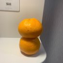 생활 공유소 | 220702 김종현 팬미팅 Hi 2시 후기 💙