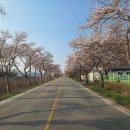 길농장2 Daum카페