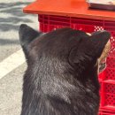 정만농장 이미지