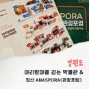 성주산을 품은 주민이 행복한 마을 | 강원 정선 가볼만한곳 아리랑마을 걷는 박물관 ANASPORA 관광포럼 테마여행