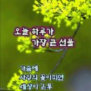 몽상 이미지