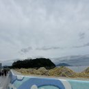 *여수여행 2일차* 오동도 트래킹 / 동백열차 시간 가격 / 오션뷰카페 서목 빙수