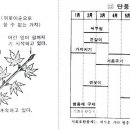 [분재 600선] 299~315. 수종별 분재가꾸기 요령 - 단풍나무 이미지