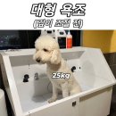 큰댕댕 개치원 | 당진 시내 유일, 애견 셀프 목욕 가능한 곳 | 당진 수청동 [큰댕댕 개치원]