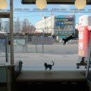 수락 동물병원 이미지