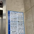 못말리는 고양이 | 분당 고양이카페 서현 못말리는고양이 아이와 방문 후기