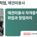 사람과 애견미용 이미지