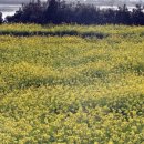 수산뜨락 이미지