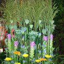 성전2호 이미지