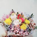 수정-135 이미지