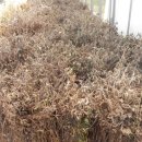 태광1농장 이미지