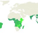 커피바리스타A 이미지