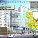OK타운 Daum카페