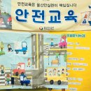 뛰뛰빵빵~~교통안전교육🚗 이미지