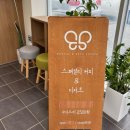 담대한 봄날 이미지