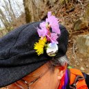 수레의산자연휴양림 이미지