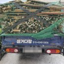 다함음악학원 네이버블로그