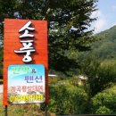 날마다소풍민박 이미지