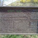 한강 자전거도로2 이미지