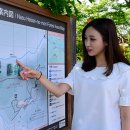 나스투어 이미지