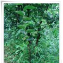 갈매기농장 이미지