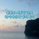 준이네 민박 | 울릉도 준이네 민박 Guest House 4인실 솔직 후기 (가성비 숙소 강추)
