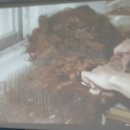라도헤어뷰티 네이버블로그