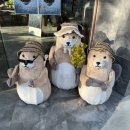 안양 우편집중국 앞 | 안양 범계 대형카페 [버터비버] 브런치 맛집 감성카페 추천 애견동반 카페