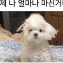 진주포차 이미지