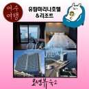 명냥펫24신부점 | 여수 엑스포 근처 오션뷰 숙소 유탑마리나호텔 리조트 숙박하다