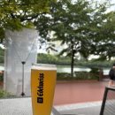 세영 여성전용사우나 이미지