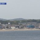 바다생선 - 고양시 일산서구 일청로8번길 6 | 바다생선