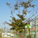 동대문구청 이미지