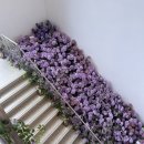 홍도마트 | 더파티움 안양 라포레홀 웨딩홀 하객 후기 주차 예식장 뷔페 / 강남면옥 / 홍도농산 수박