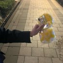 마카오박 이미지