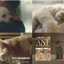 펫푸드온 주식회사 이미지