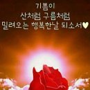 (주)용정 이미지