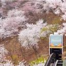 화담 이미지