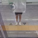 공짜는 하니도 춤추게 한다 (feat. 놀면뭐하니 우리들의 축제, 진미훠궈 건대점, 헌혈)