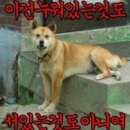 ◆상소문 4. 뉴노멀 (塵人 조은산)ㅡ제2부ㅡ 이미지