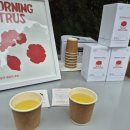 제주 와일드 이미지