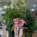 새대학약국 이미지