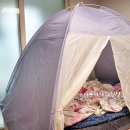 더 따숲 이미지