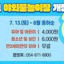 칠곡보 야외물놀이장 이미지