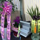 DAMA당구장 이미지