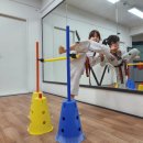 광명연세정도태권도장 이미지