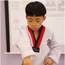 프리미엄 태권마루 태권도장 이미지