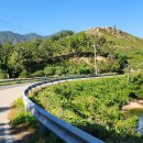 도원상사 이미지