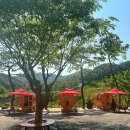 강촌황토찜질방 이미지